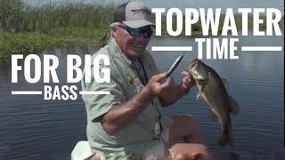 It's topwater time for big bass in the Everglades