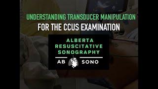 Transducer Manipulation: Alberta Sono