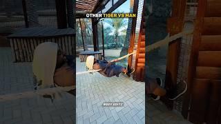Other tiger vs man  #shortsfeed