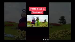 Swansea memes