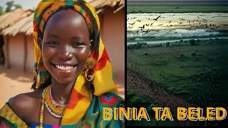 MISTA.D Binia Naar (Official Lyrics Video)