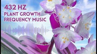 432 Hz Music for Plants To Stimulate Plant Growth and Healing Vibes