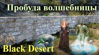 Пробуждение волшебницы Black Desert