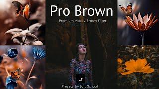 How to Edit Professional Photography | Lightroom Dark Brown Photo Editing | Lr Presets DNG & XMP Fre