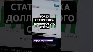 Статистика долларового счёта на myfxbook #trading #trader #скальпинг #трейдинг