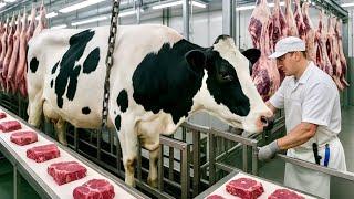 How BEEF is PRODUCED  | MEAT MEGAFACTORY 