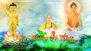 Nếu Không Có Phật   Thích Nhuận Thanh