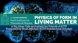 Big Ideas | The Physics of Form in Living Matter ▸ Noah Mitchell