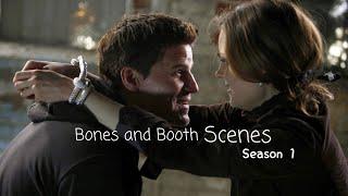 Bones & Booth scenes (season 1) [1080p, mostly logoless]