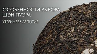 Шэн Пуэр. Как Выбрать? | Art of Tea, китайский чай