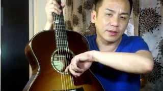 Taylor SCCSM Steven Curtis Chapman Signature Model Guitar Review in Singapore