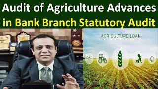 Audit of Agriculture Advances in Bank Branch Statutory Audit and Audit of KCC (Kisan Credit Card)