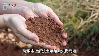 【巧棵力Cocoly】詳細科普顆粒肥｜恩農農業