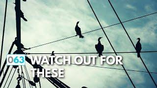 Sailing the Intracoastal Waterway, 5 Things To Watch For  |   The Foster Journey