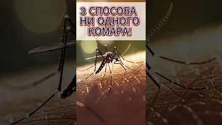  Комары БЕЗ химии ? 3 СПОСОБА 2025 года, которые РАБОТАЮТ!  ПРОВЕРЕНО