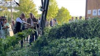 Markus Söder besucht die Hopfenernte