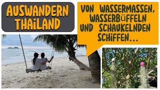 Als Familie nach Thailand auswandern... von Wassermassen, Wasserbüffel und schaukelnden Schiffen