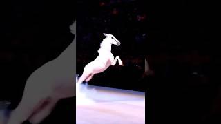 Unbelievable! Cyclist Turns Into a Majestic White Horse! #AGT #Magic #Talent #Shorts