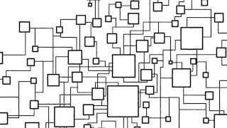 Biodiversity ecosystems and ecological networks