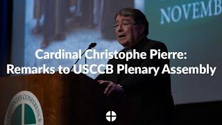 Opening Remarks by Cardinal Christophe Pierre