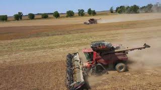 Record Corn Yields In Illinois.  2024 Harvest Days 5-7 Season 5 Episode 26