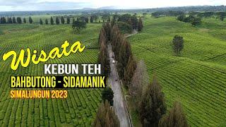 KEBUN TEH BAHBUTONG SIDAMANIK, SEJUK DAN ASRI DI KABUPATEN SIMALUNGUN PROV. SUMUT