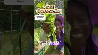 Prune your plants for lush bountiful harvest!  #garden #gardening #fyp #gardentip #beets #turnips