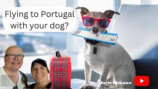 Step by step guide to flying with your Dog to Portugal @joricmclean