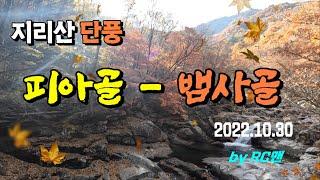 [RC맨]  지리산 단풍은 어디가 더 좋을까? -  피아골?  뱀사골?