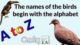 A To Z Birds name | Birds Name Alphabet starting (A to Z) | 2019 |