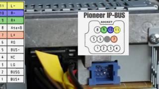 Pioneer car audio IP bus pinuot