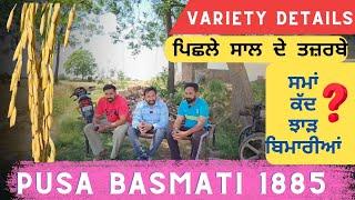 Pusa Basmati 1885 Ground experience of farmers and variety details