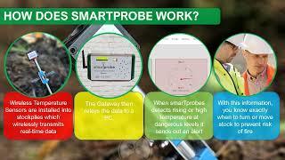 smarTprobes | Solution for efficient industrial temperature monitoring.