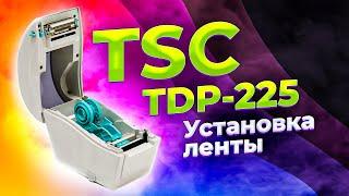 TSC TDP 225: установка ленты в принтер этикеток | Настройка печати