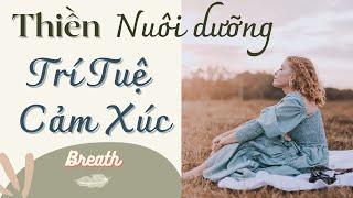 Thiền tâm từ tăng cường trí tuệ cảm xúc (Breath.vn - TS Lê Thu Trang)