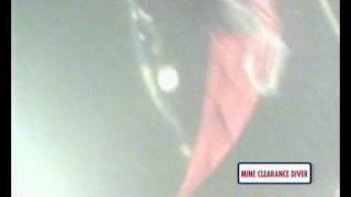 Mine Clearance Diver Warfare Branch