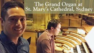 The Grand Organ at St. Mary’s Cathedral, Sydney | James Flores