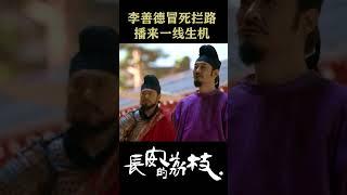 拼死拦路能否换来一线生机！ #长安的荔枝 #TheLitchiRoad #雷佳音 #岳云鹏 #costume #cdrama