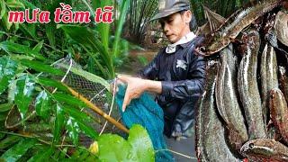 Dầm Mưa Thăm Lờ Cá Trúng Ổ Cá Trê Trắng