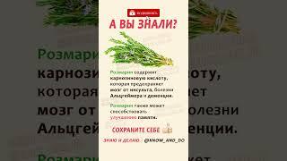  Питание для здоровья: Розмарин ️ Польза для организма человека 26.04.2023