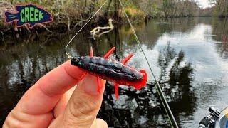 This River is AMAZING...PB Suwannee on BLUEGRASS BUG