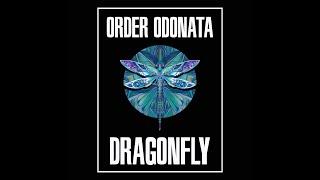 V.A. - Order Odonata - Beyond The Looking Glass