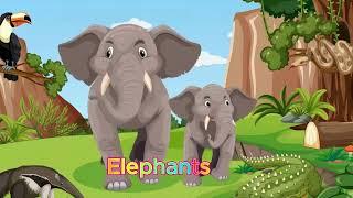 Animals for kids English/kids song