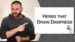  Herbology 1 Review - Herbs that Drain Dampness (Extended Live Lecture)