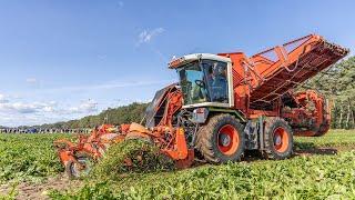 Claas Xerion 3000 + Holmer bietenrooier | Youngtimer Feldtag Nordhorn | Rübenroder | Stoll V202