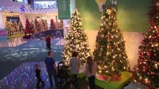 Christmas Around the World and Holidays of Light at MSI