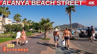 Alanya Beach Street ! Alanya Street Tour ! Alanya Center 2024 ! Alanya Antalya 2024 ! 4K 60 FPS !