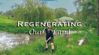 Regenerating 2 1/2 Acres of Land on our Homestead