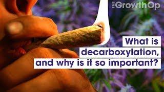 What is decarboxylation, and why is it so important? | Weed Easy