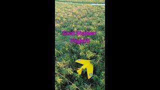 TN Gnat RC Plane Maiden flight - FAIL!!!!!